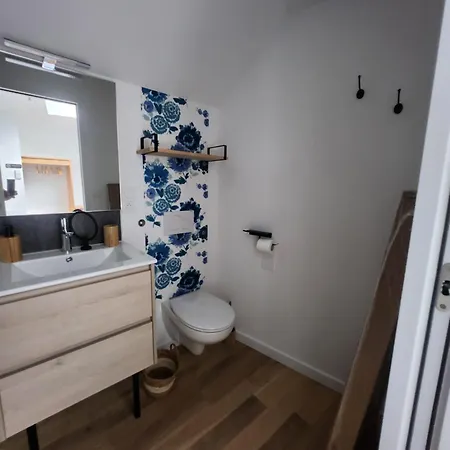 Le Domaine De Bachmay 4* Λαβάλ