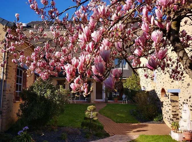 Le Domaine De Bachmay Penzion Laval (Mayenne)